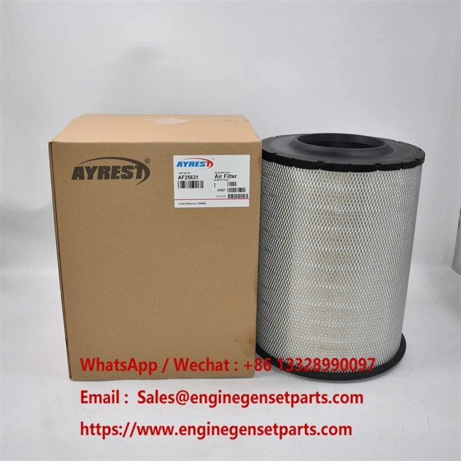 AF25631 Air Filter AF25631 Air Filter